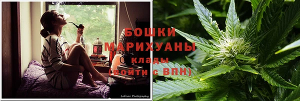 гашик Аркадак