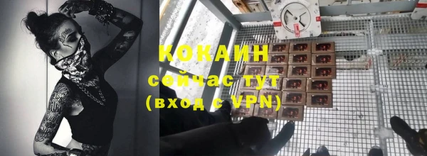 гашик Аркадак
