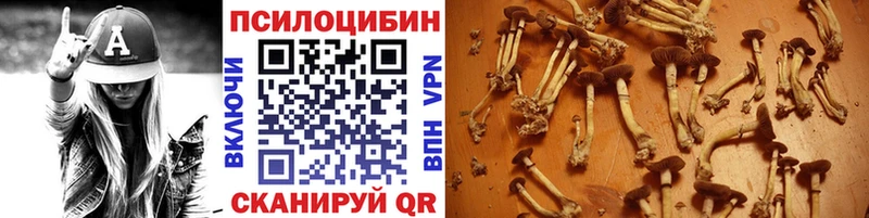 купить наркоту  Семикаракорск  omg ссылка  Галлюциногенные грибы прущие грибы 